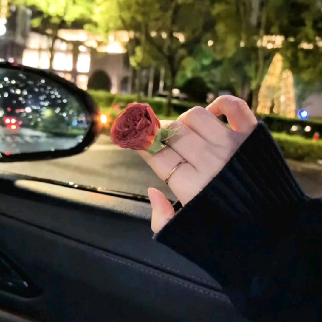 半🐰糖🍬.