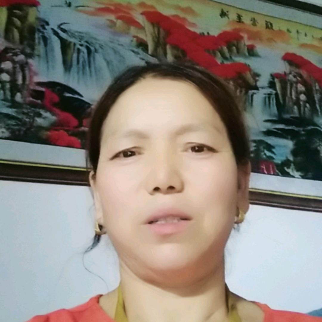 寻找杨林芳回家，西安市