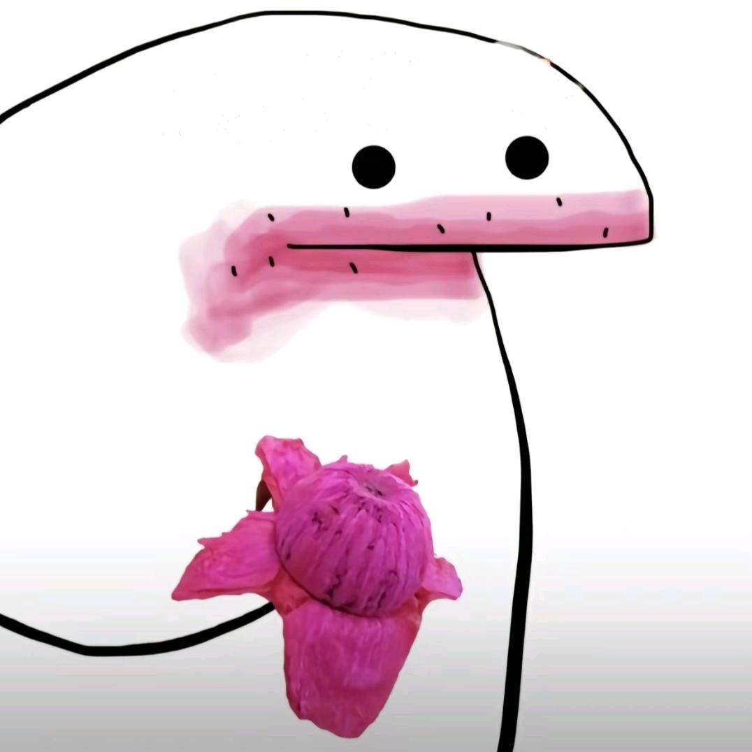 宇宙究极无敌羽毛球暴龙战士