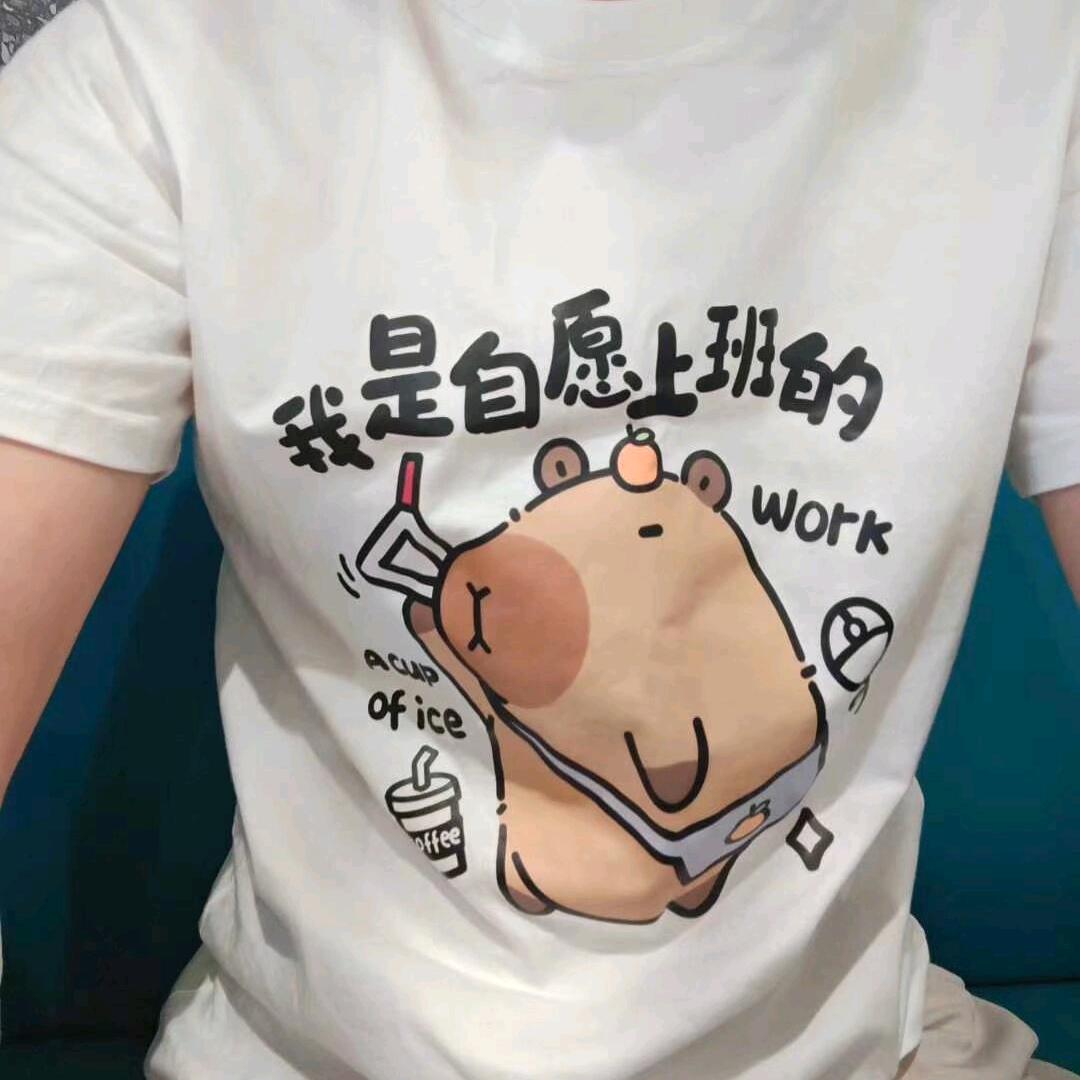 叮宝