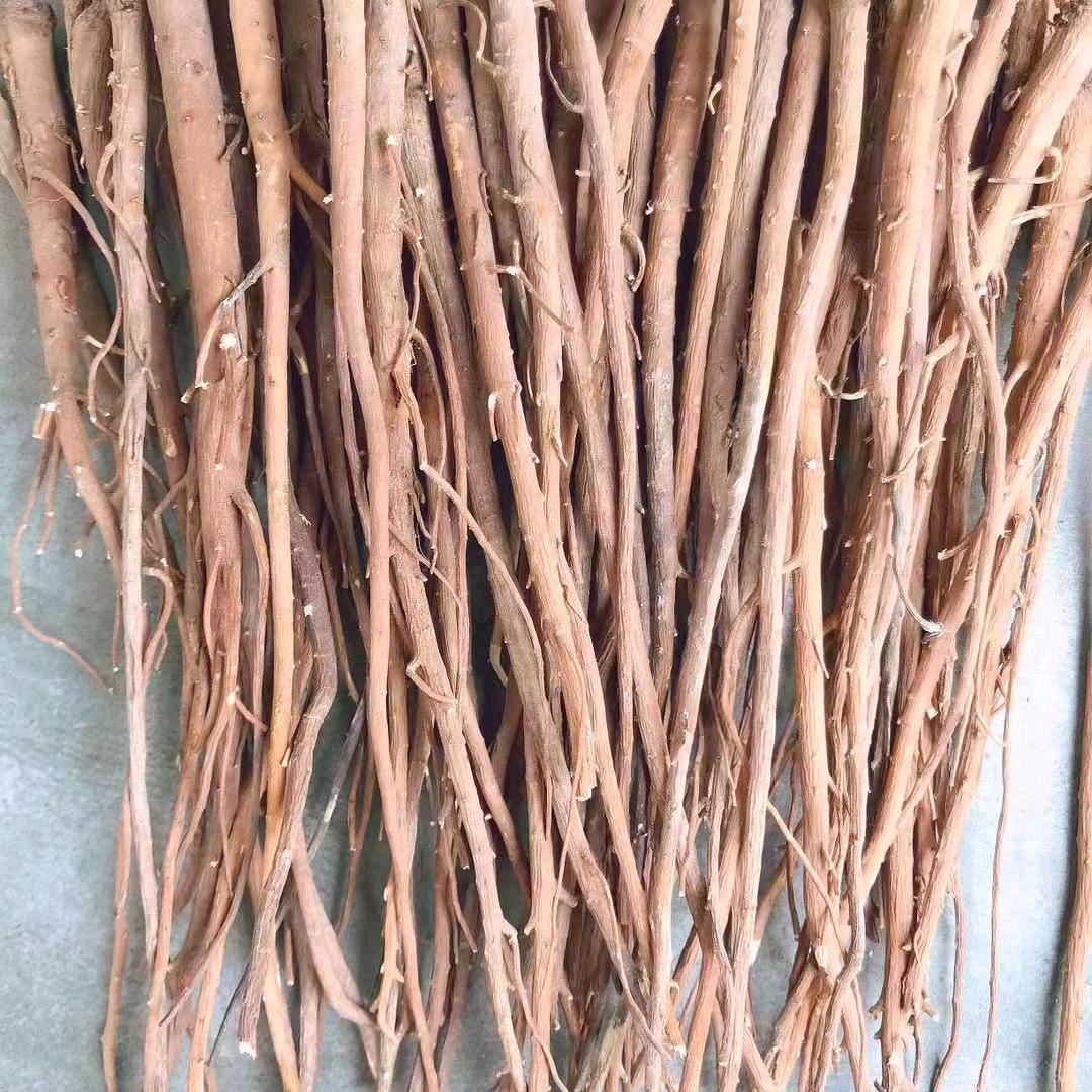 中药材种植与管理