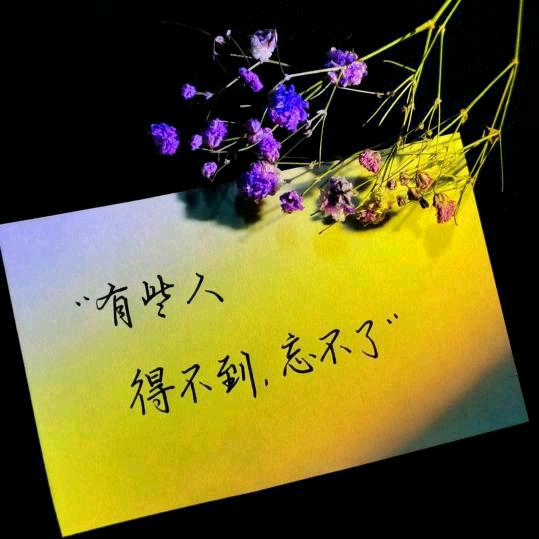 尘缘若梦