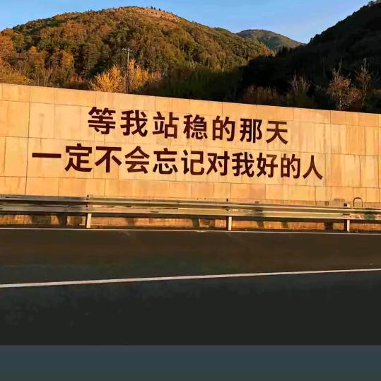 社会你林哥