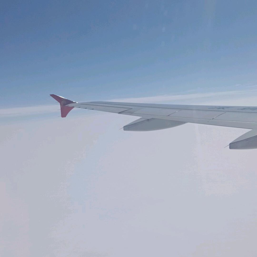 东哥
