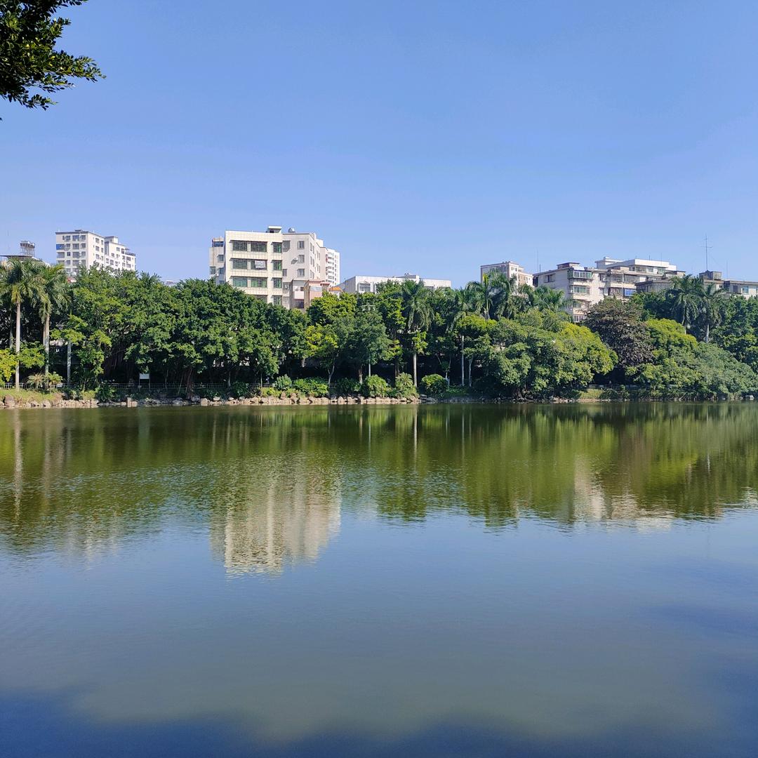 广西南宁甘棠