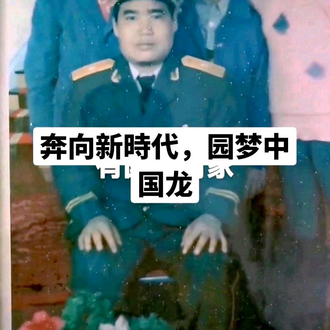 韦庭全部都是我的勋章