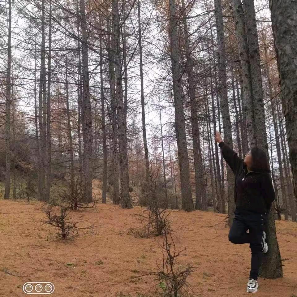 昙花一现