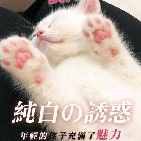 超级小小羽