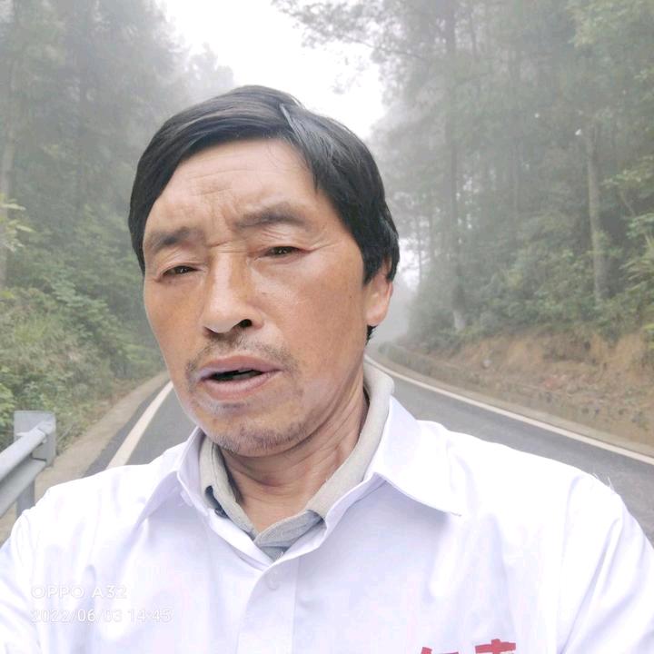 万年青