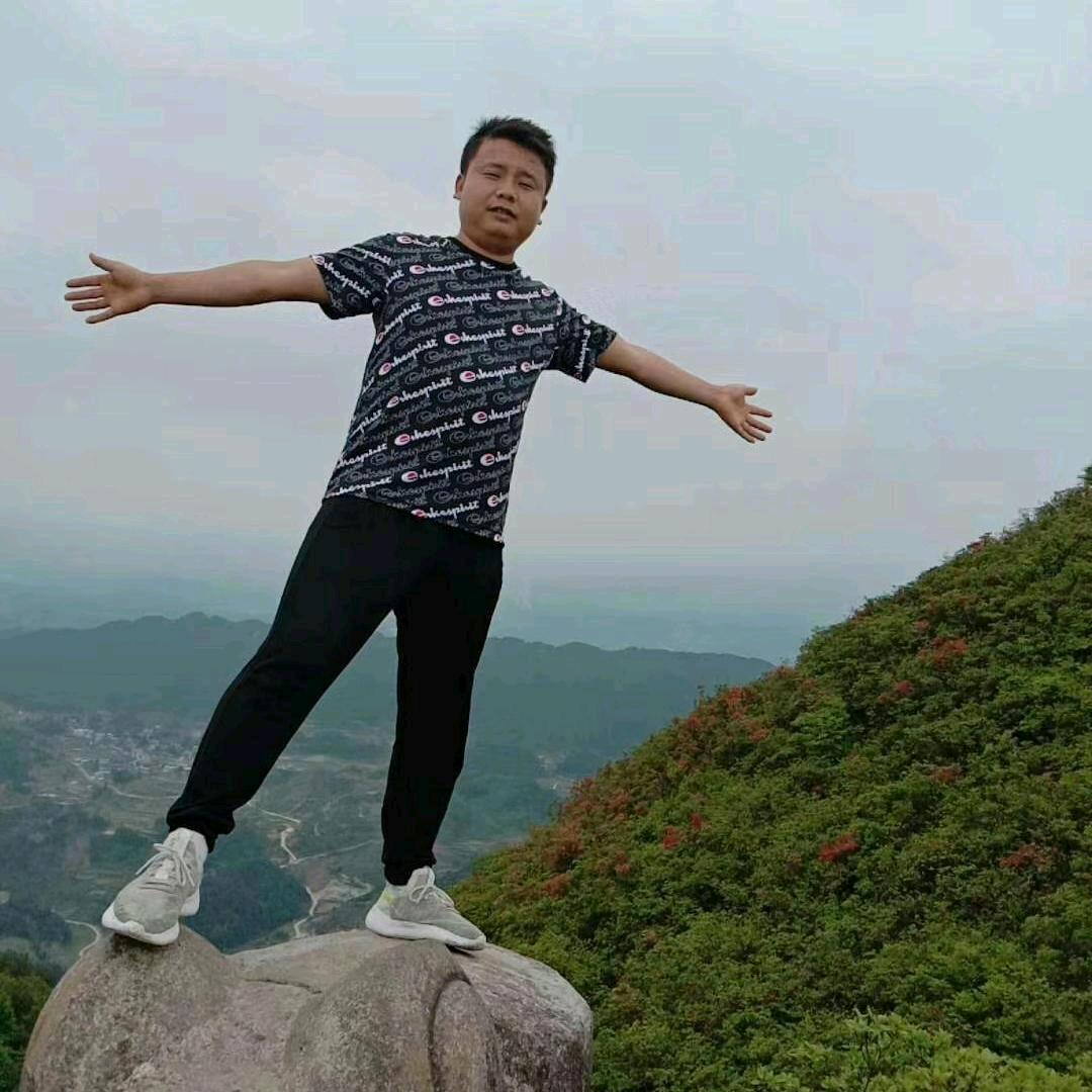 张向