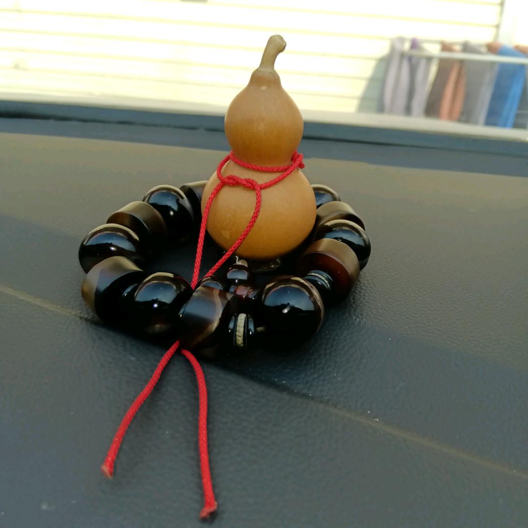 收心哥