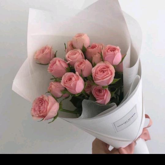 苕粉面皮官方号