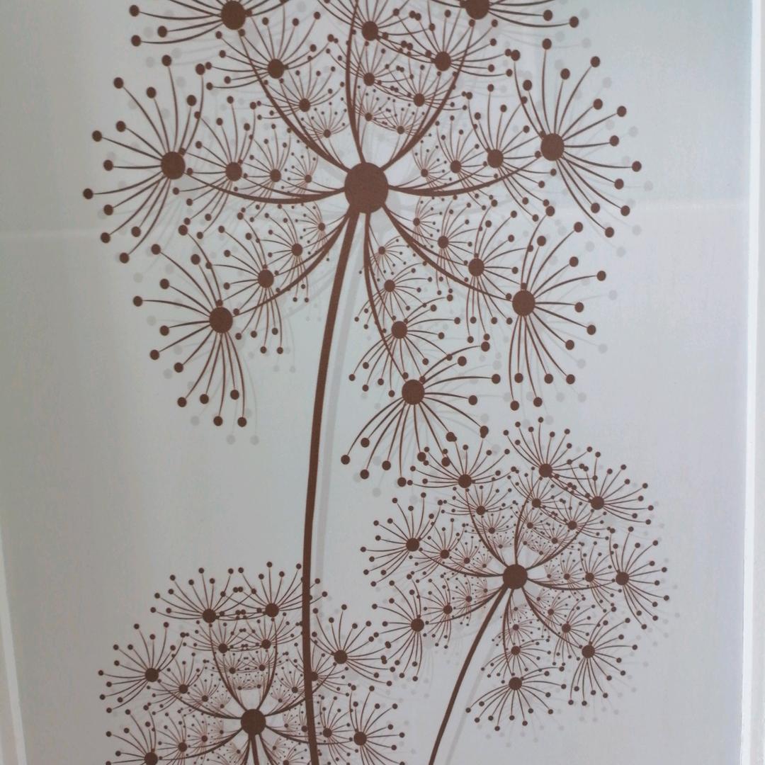 ᝰꫛꪮꪮꫜ.🌙