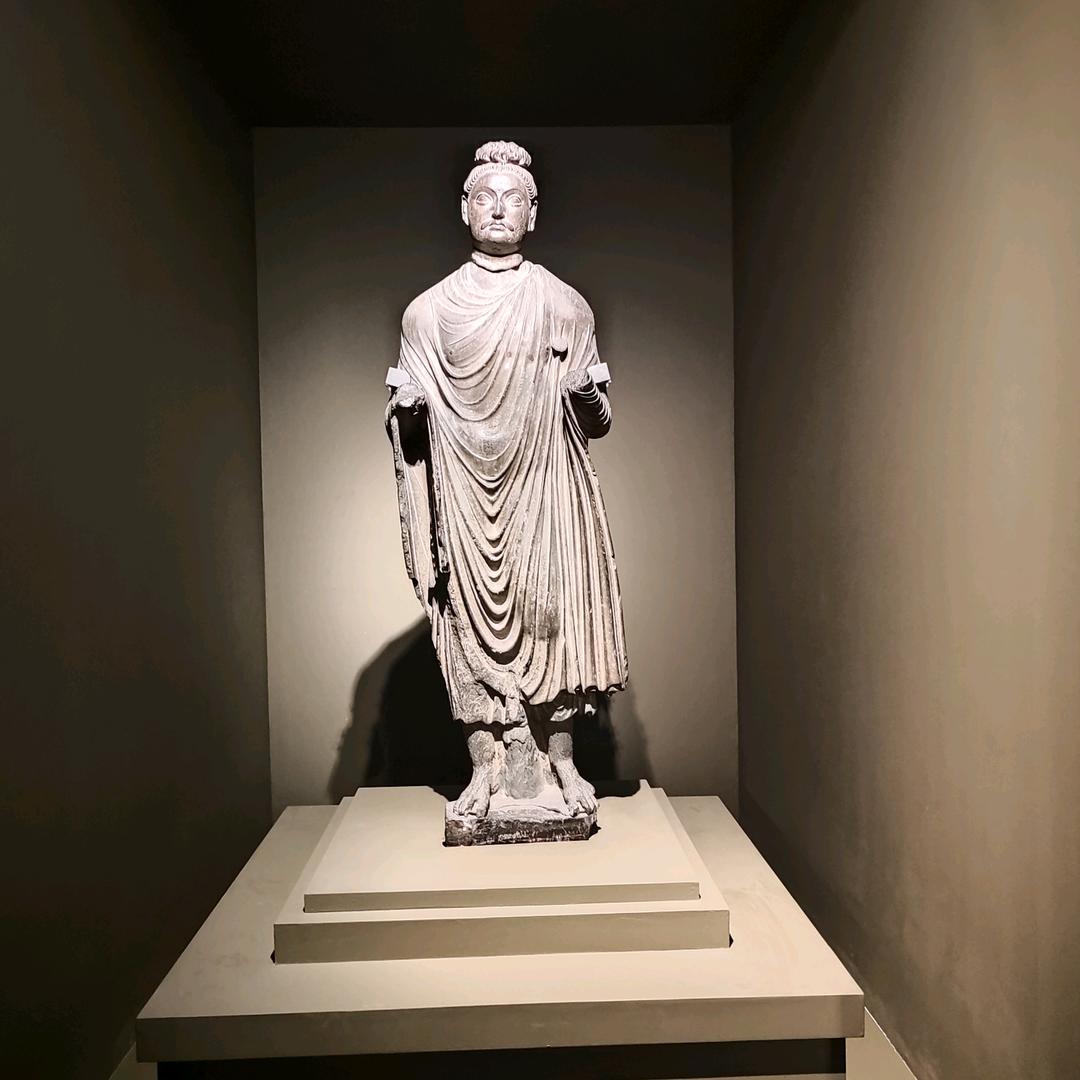 龙龙