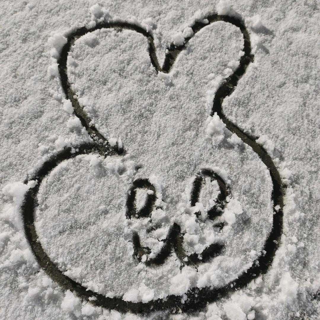 (๑•ี_เ•ี๑)