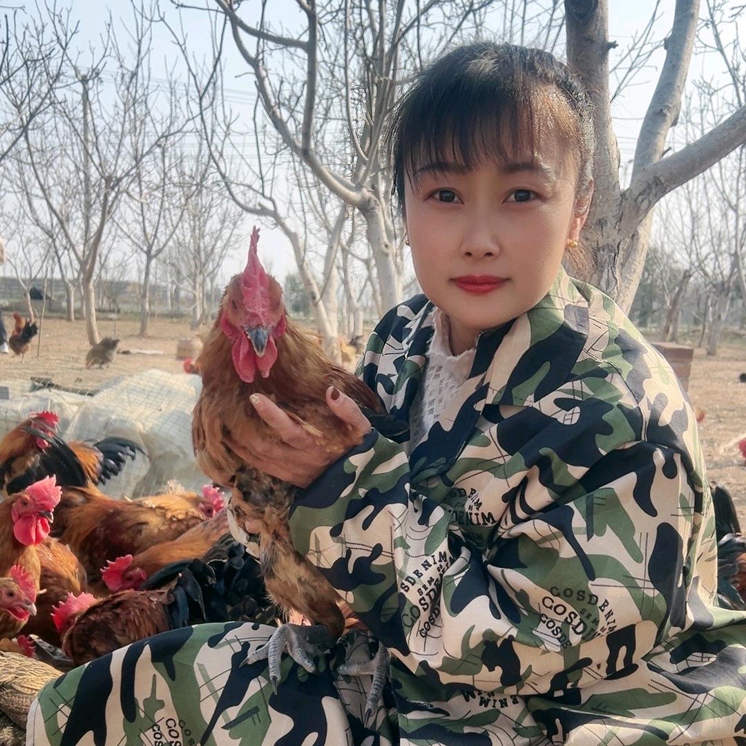 阿玲谈养鸡