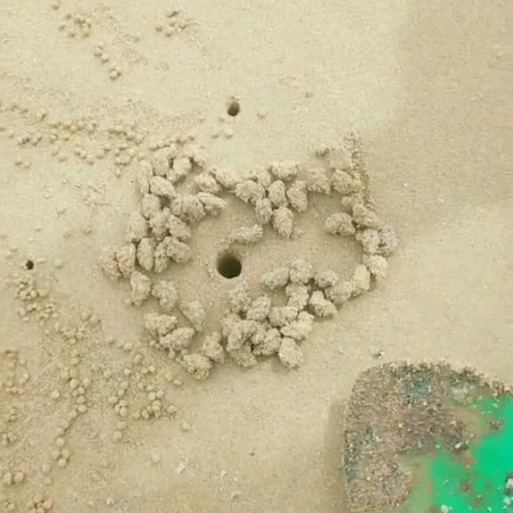 小李哥在海边