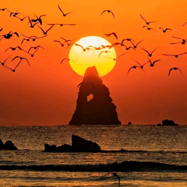 奇趣视界，義龍