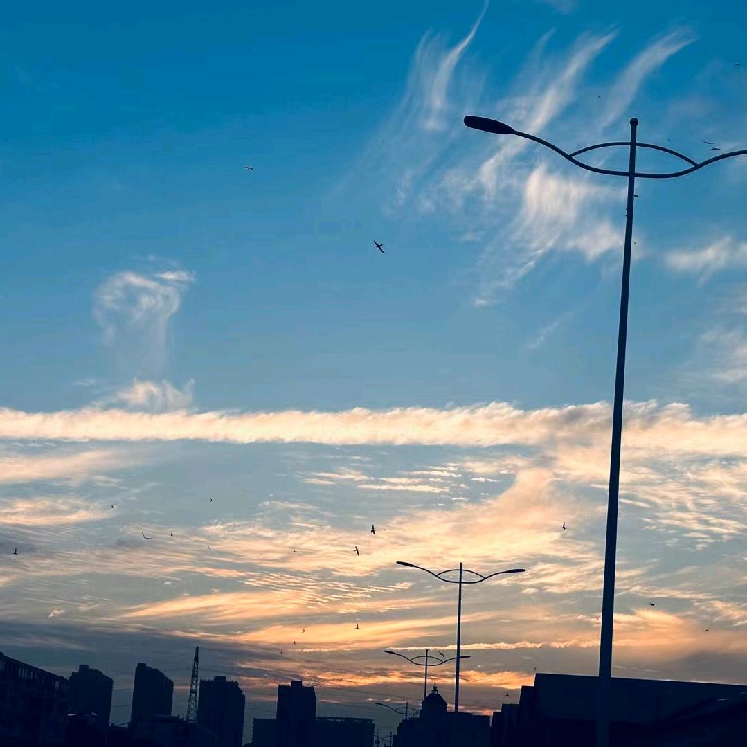 京东家电长江路店李克