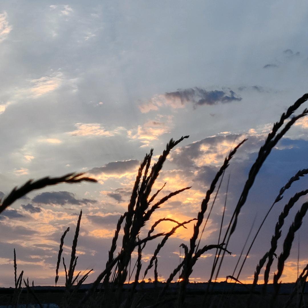 最美盛夏（吃喝玩乐go）