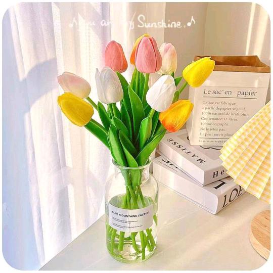 人生如戏🌹🌹