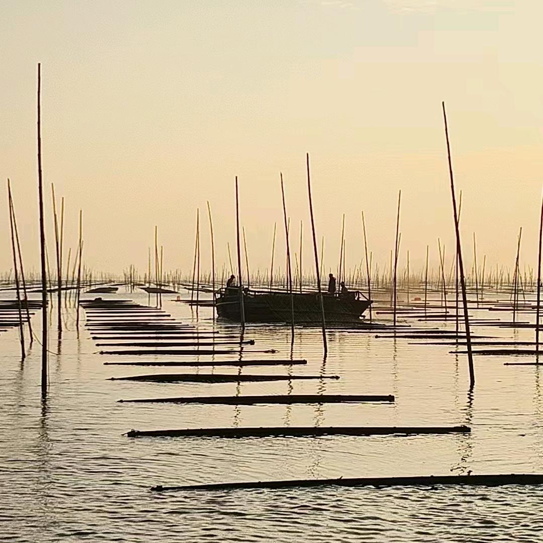 错过机会再也回不来