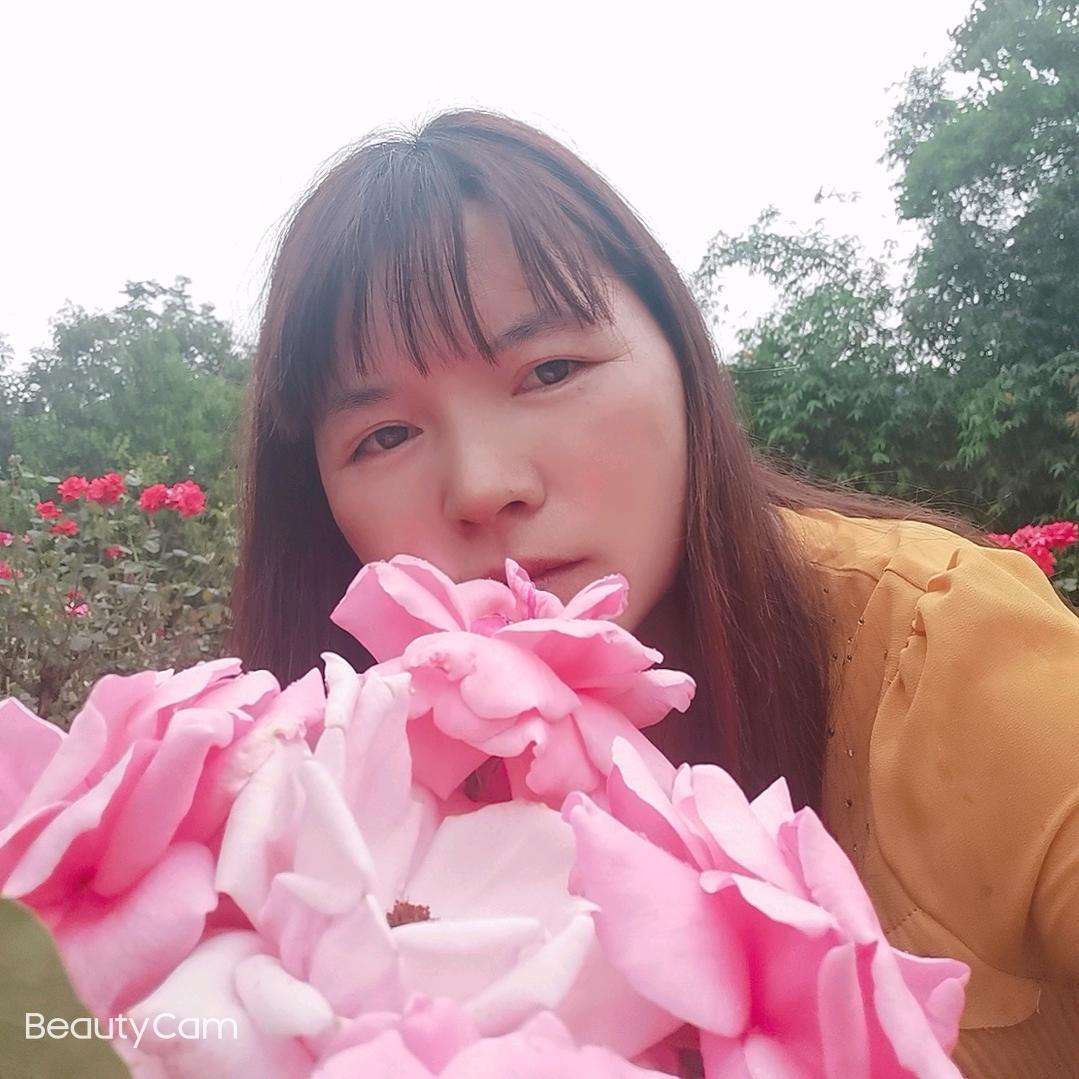 &风雨伴花蕊&