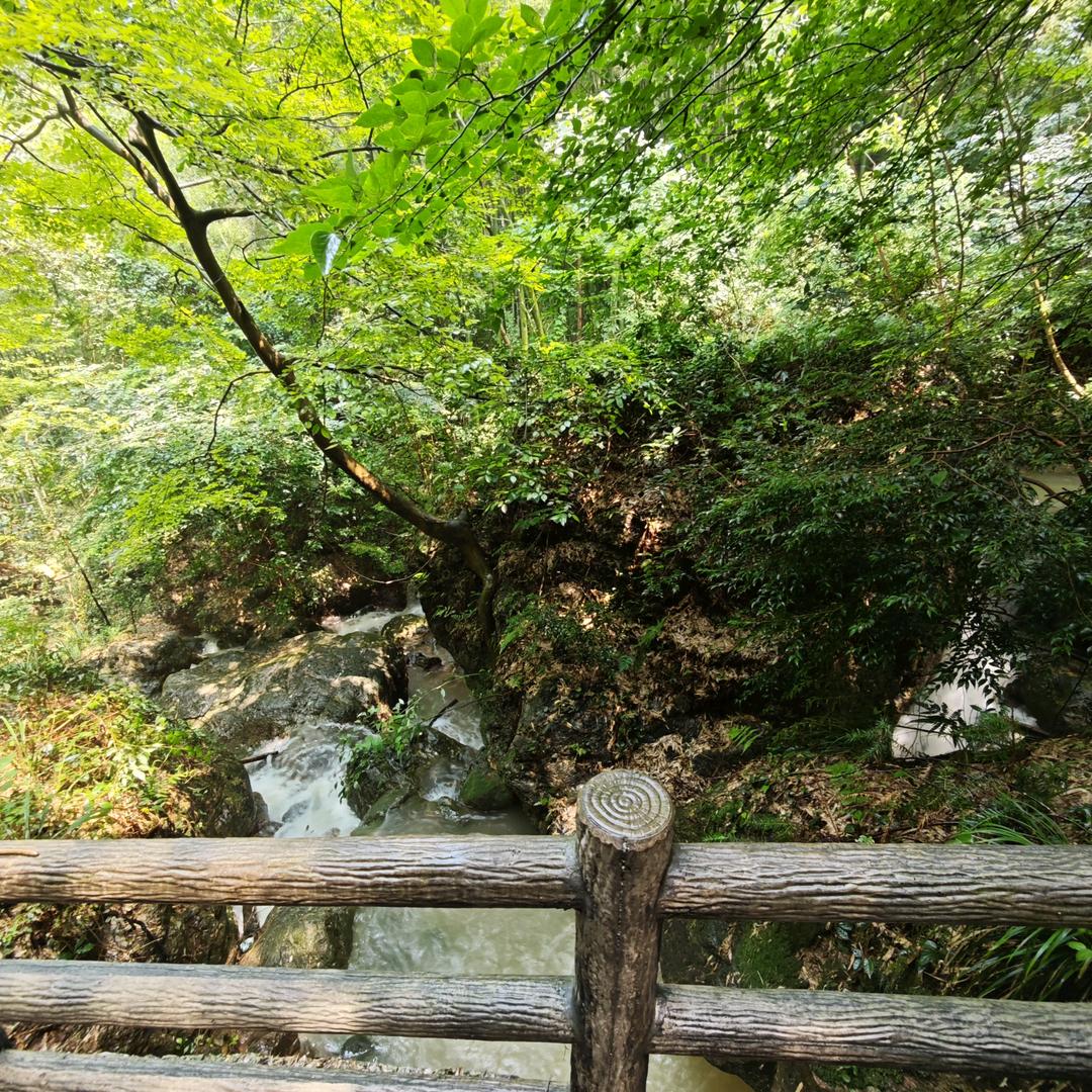 迷途羔羊