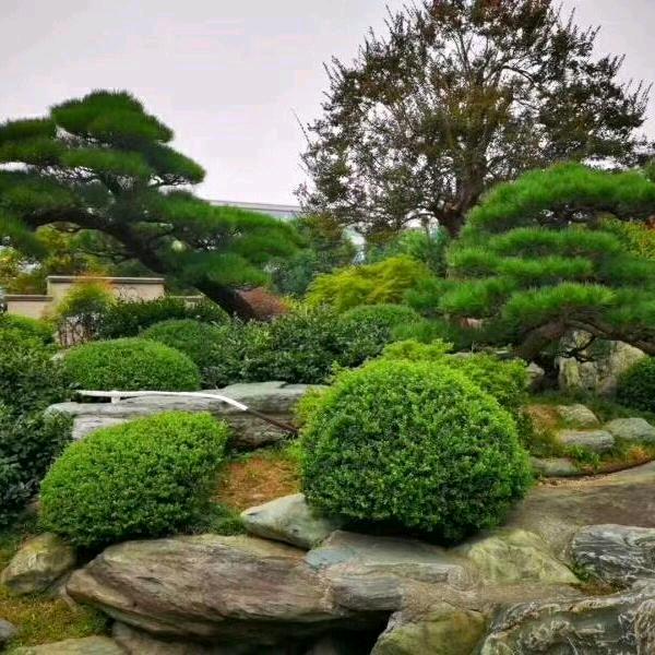 活在当下，为了生存加油，