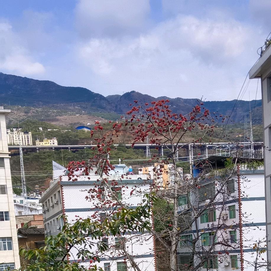 不留情