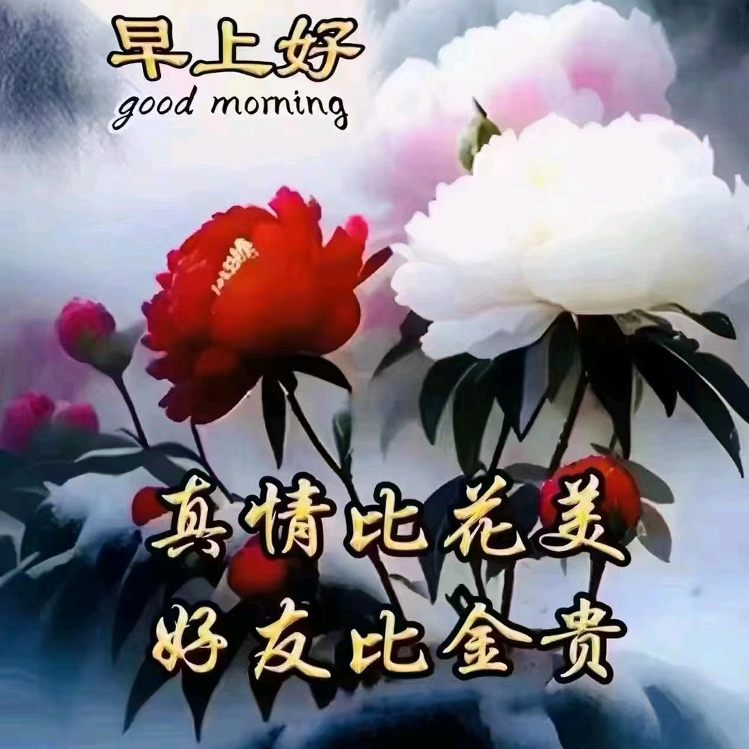 用户3264926387724陈大哥