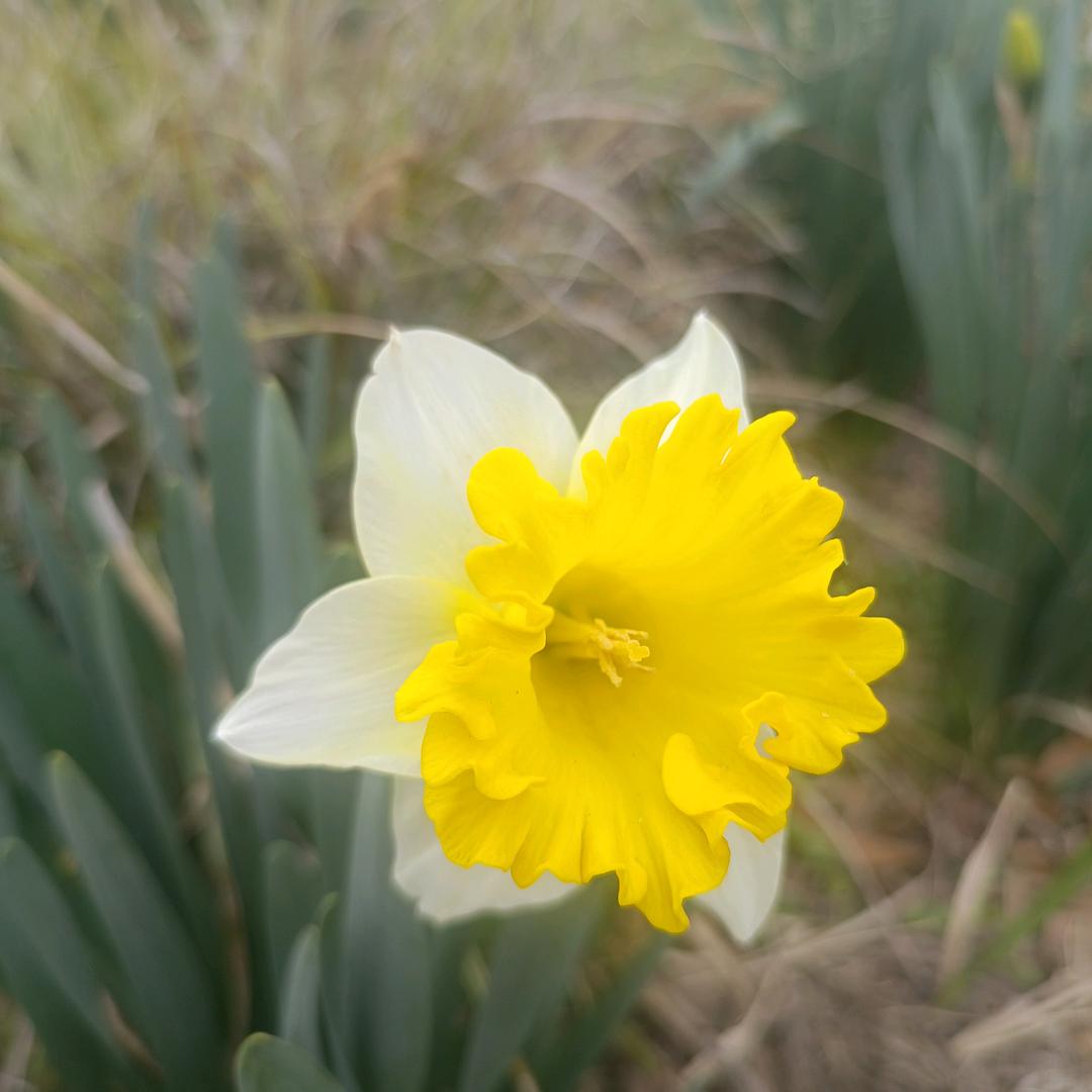 🌹ヤ⒄依纞╄→伱