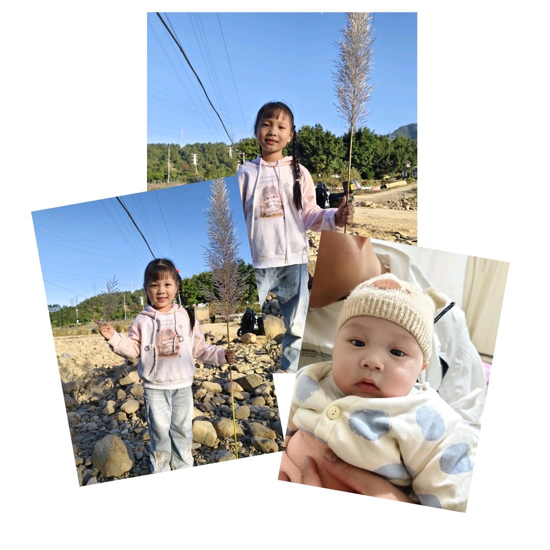 涂涂家的三神兽