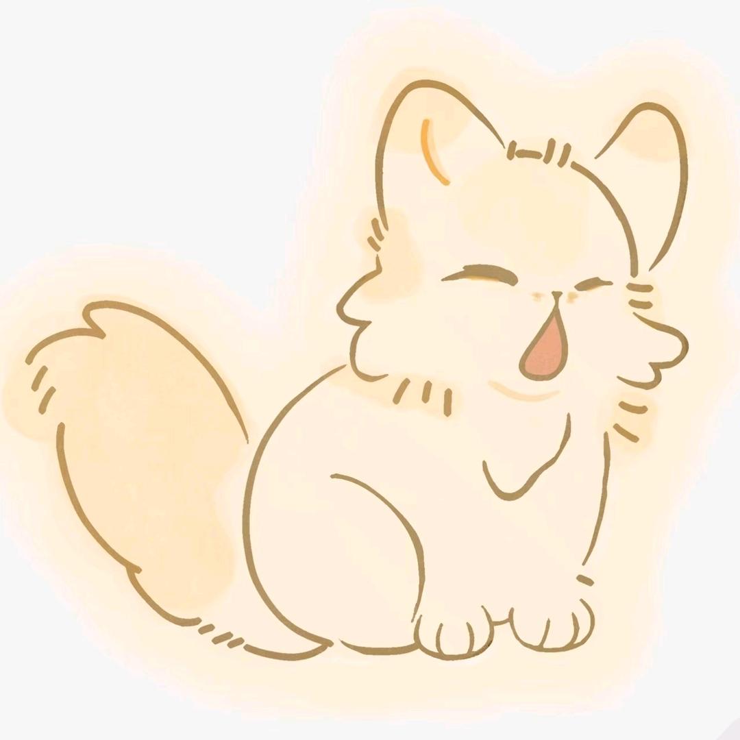 不能熬夜的猫