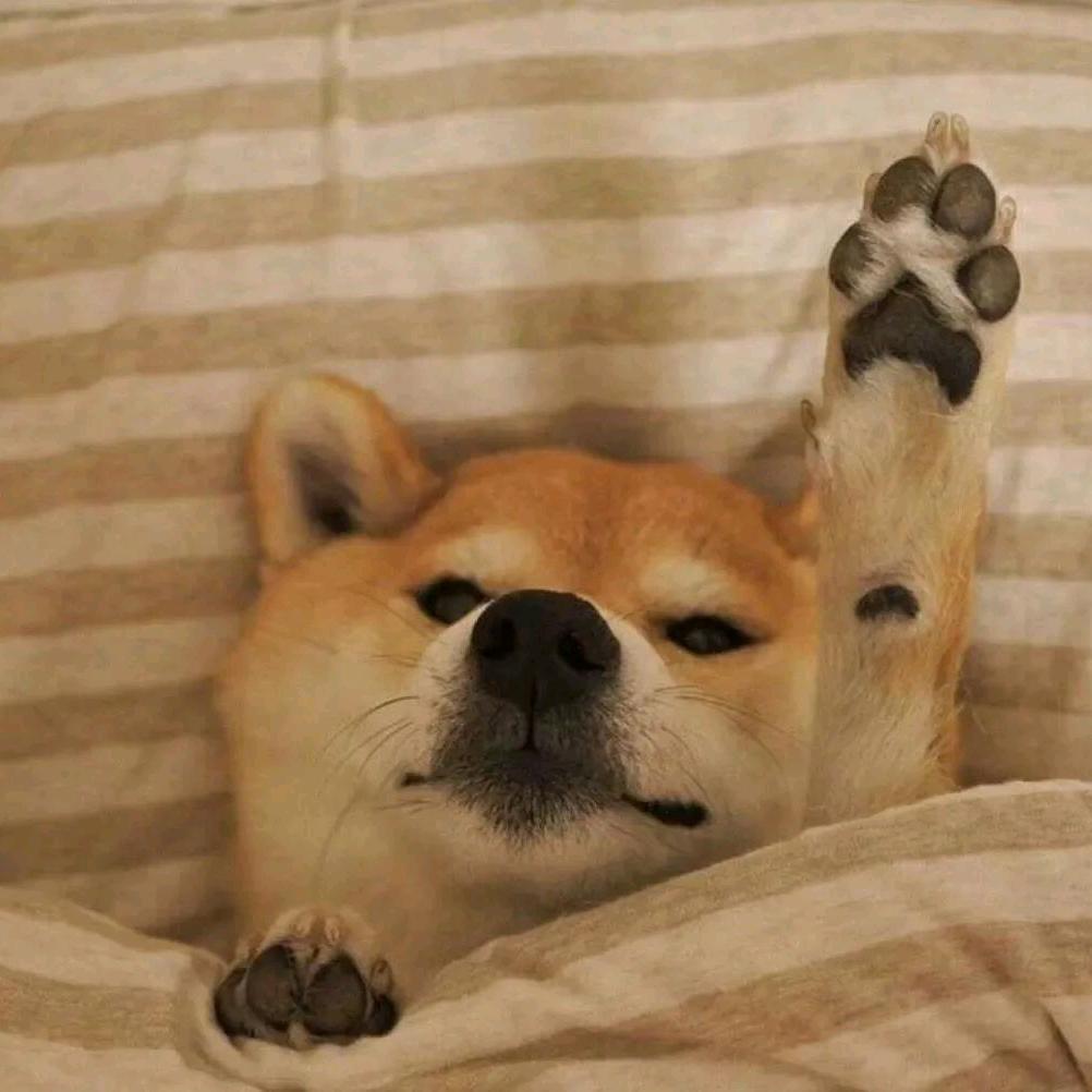 云野枯树（先关后发）