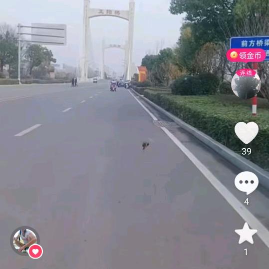 过好每一天