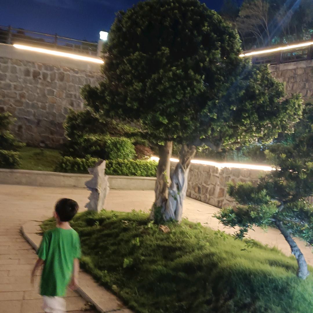 洵红尘如梦