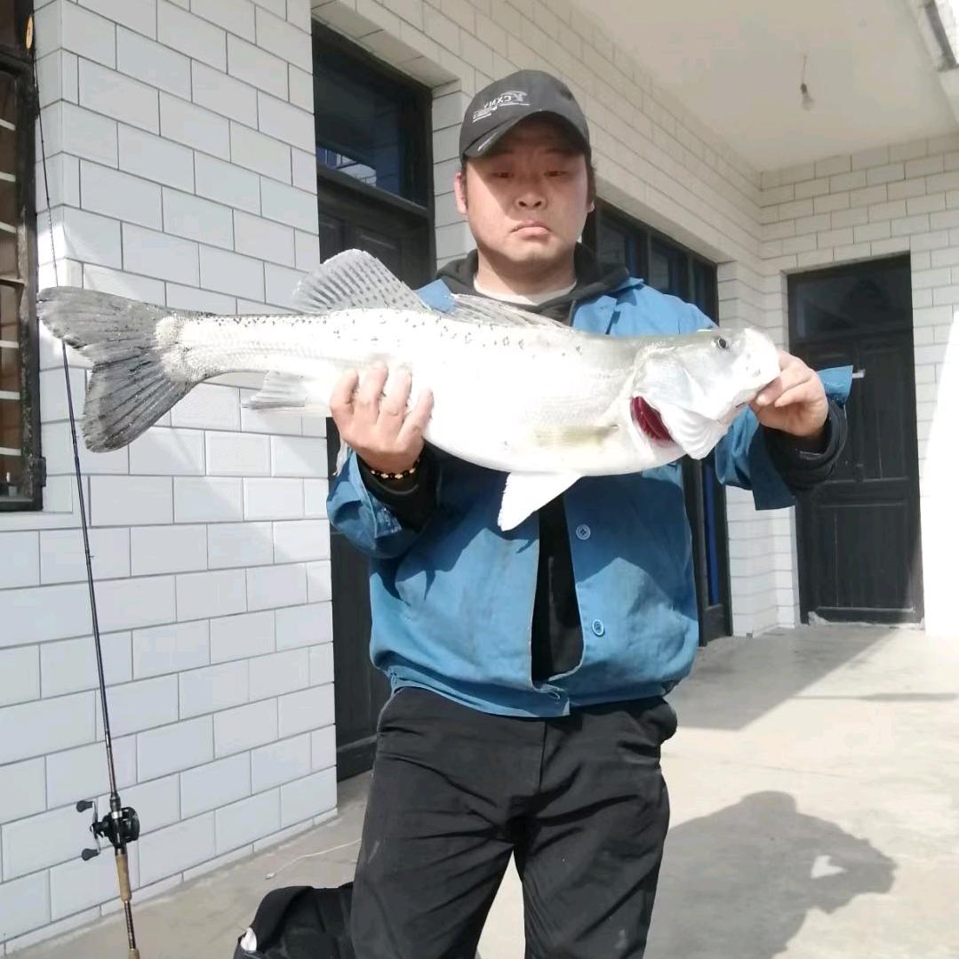 金辉（路亚🎣）