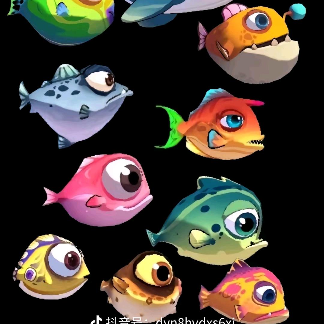 深圳市南山区啥也不懂小棉鱼