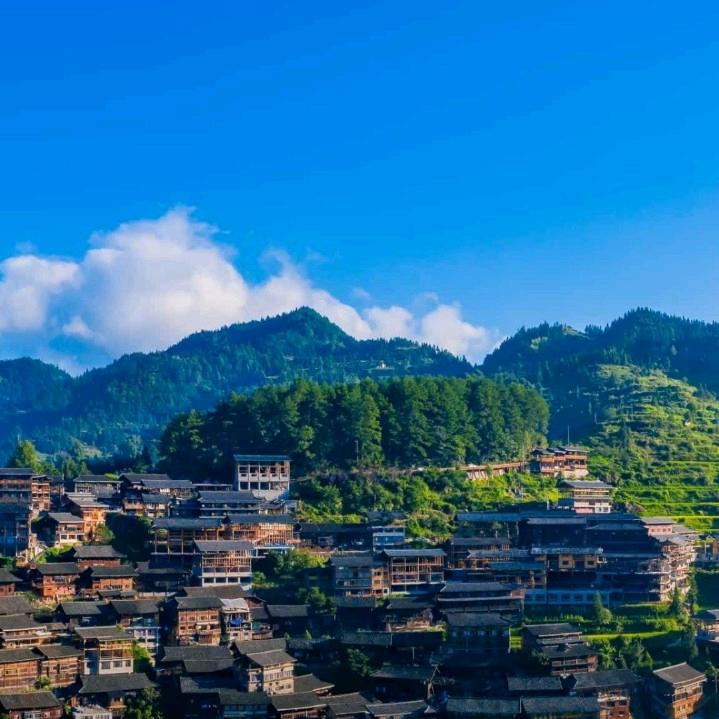 涵妈的跑腿日记