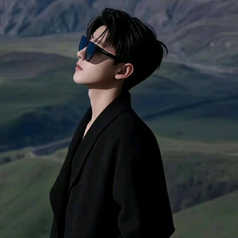 阳光下搬家的蚂蚁