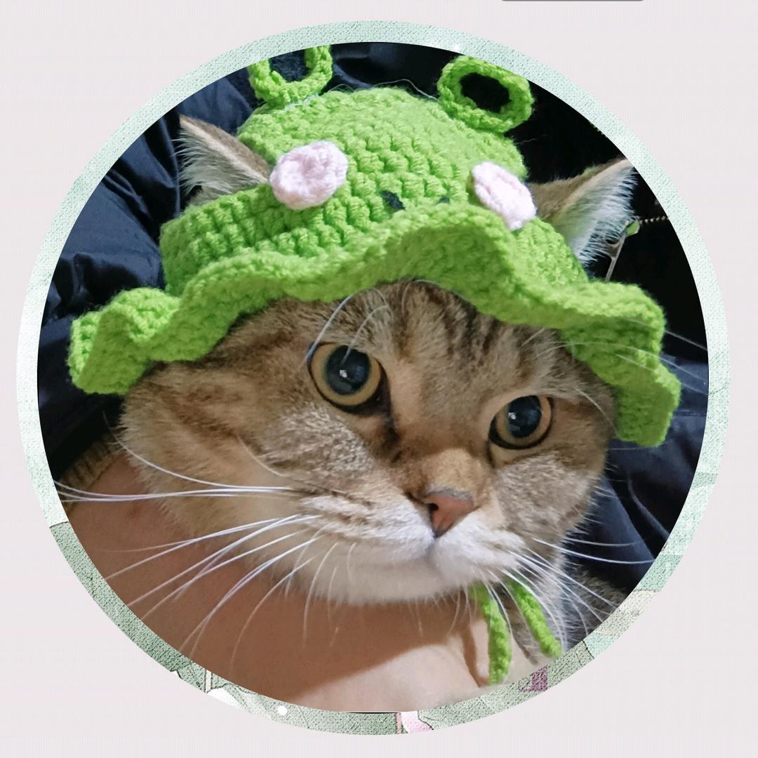 你的样子@刘福宝