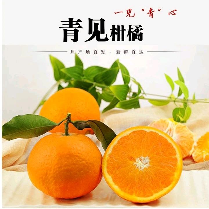 果园优选