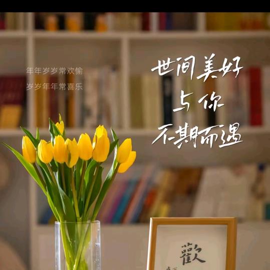 新的一年开始了
