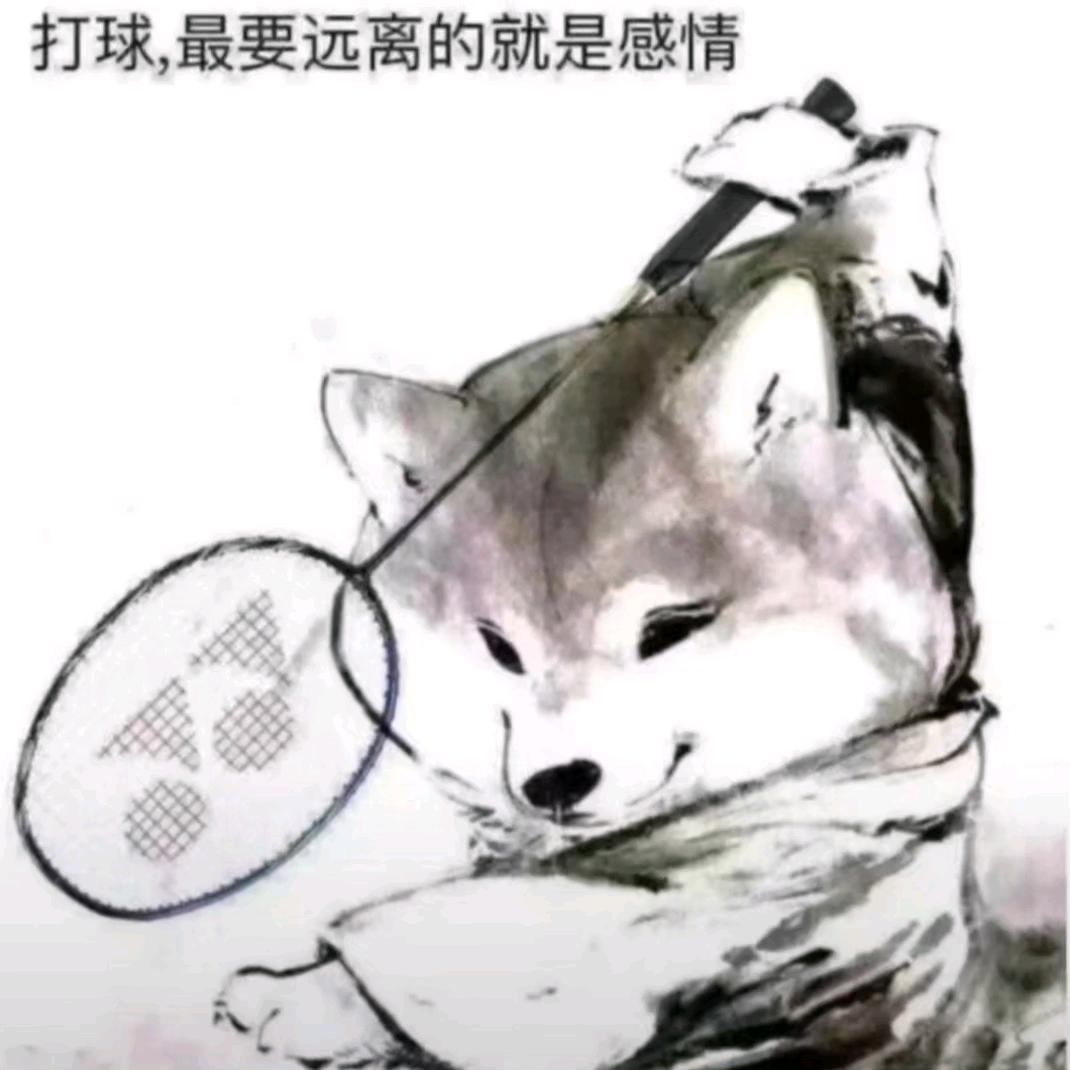 小糊塗仙🏸