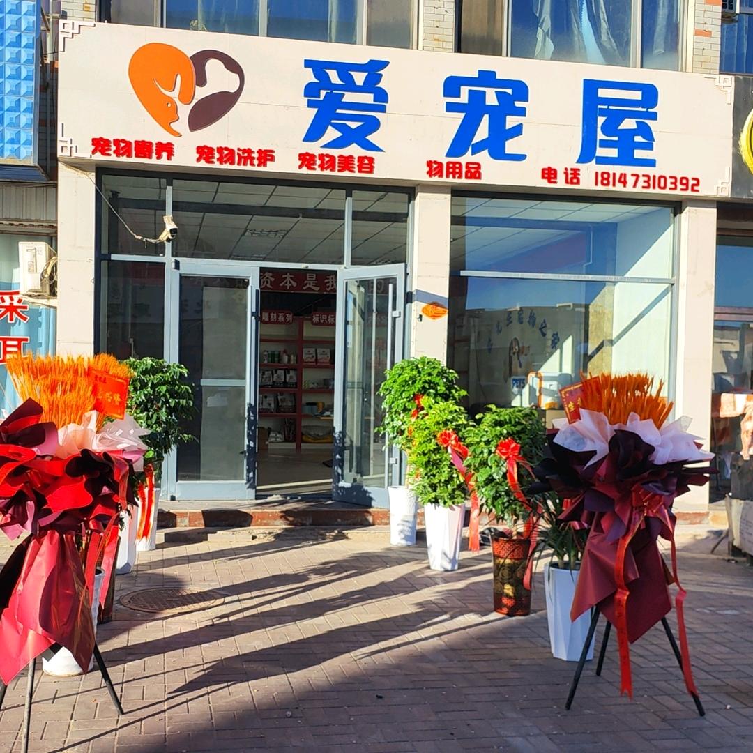 爱宠屋官方号