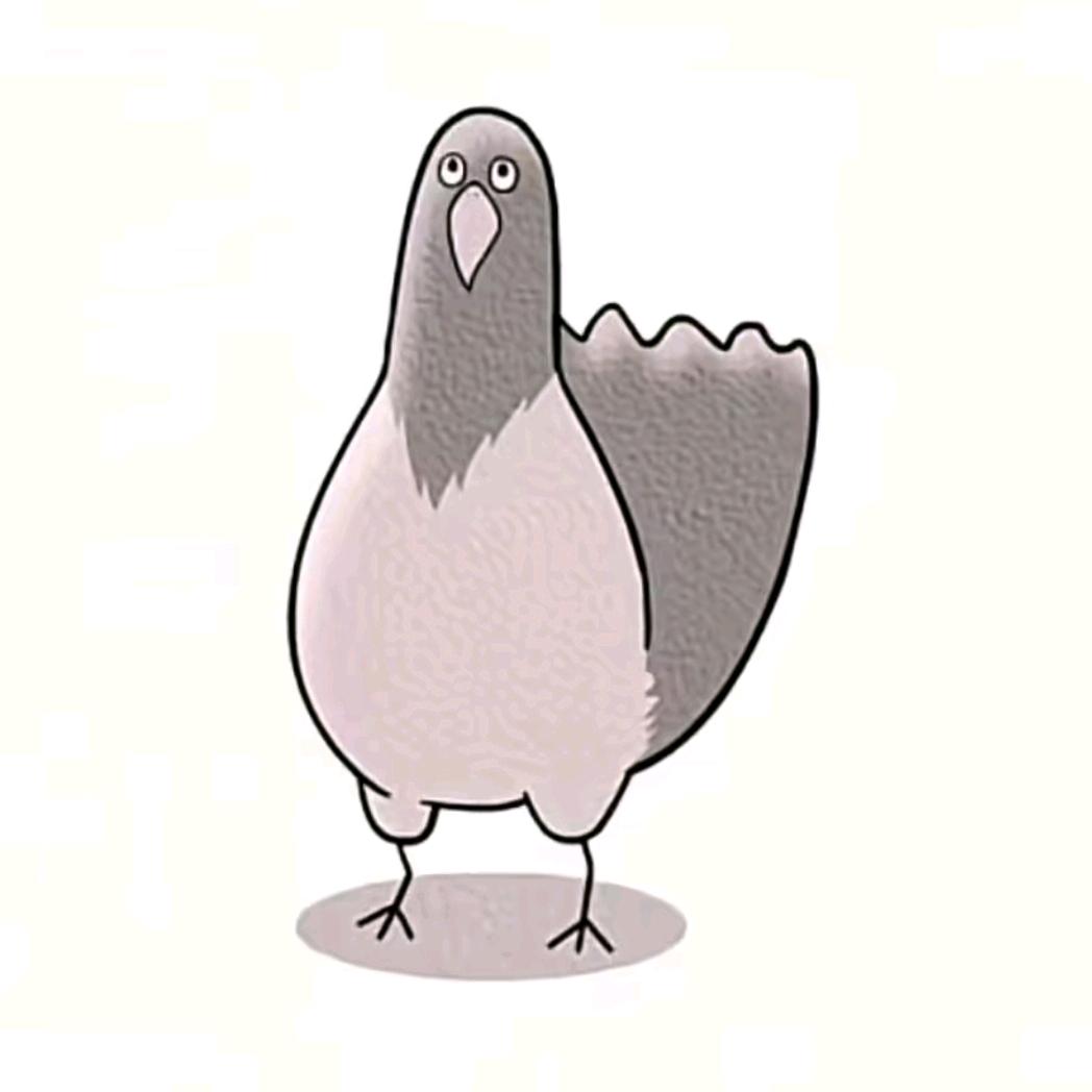 我不是鸡