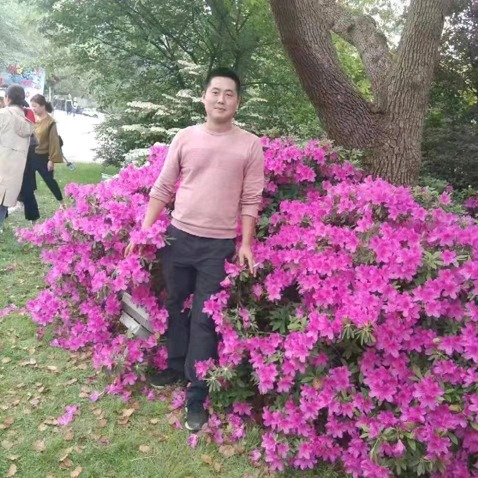 威哥废摩