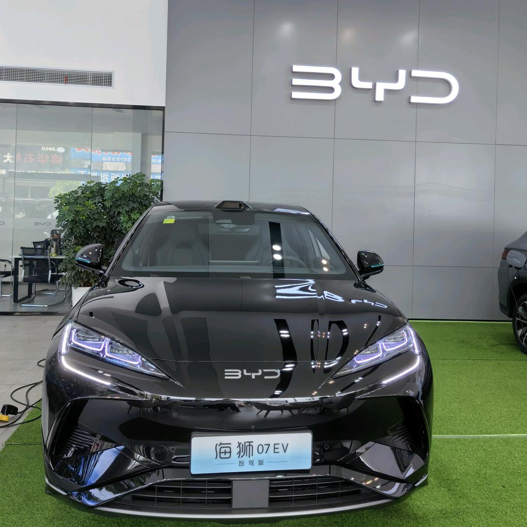 祁东比亚迪彭建英