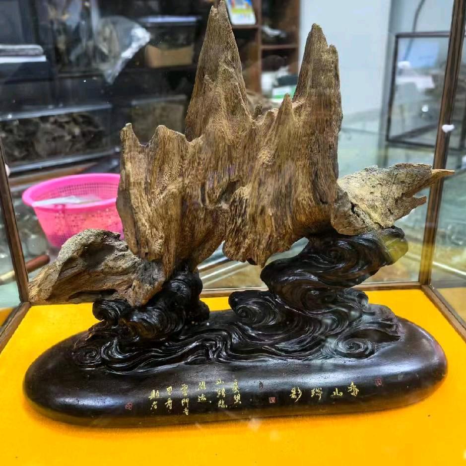 韦小宝🦜🦜🐎🐎🐉🐉🐉✈️✈